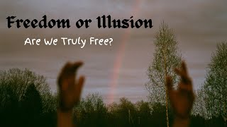 The Hidden Truth of Freedom [upl. by Grannias711]