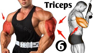 Top 6 Triceps Exercises For Thicker Arms  Triceps Workout [upl. by Alitha690]