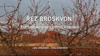 Řez broskvoní  řez stromů s kotlovitou korunou 2 díl [upl. by Domonic]