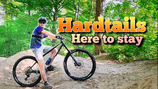 The TRUTH About Hardtail Mountain Bikes [upl. by Eelyrag]