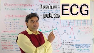 Electrocardiography  Electrocardiogram  ECG  EKG  Dr Mushtaq Pashto Lectures [upl. by Abbottson57]