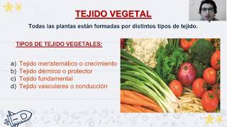 Tejido vegetal Parte I  5to y 6to de Primaria  Las Cumbres [upl. by Tonry]