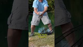 BANK Fishing For Catfish Fishing TRICKS shorts fishing [upl. by Ahseyk261]