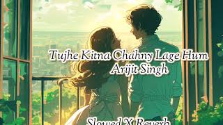 Tujhe Kitna Chahne Lage HumSlowed and ReverbArijit SinghKabir Singh movieLofi and Love Song [upl. by Baggs887]