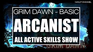 Grim Dawn  Arcanist All Active Skills [upl. by Brodench]