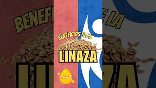 Beneficios De La LINAZA En Tu CUERPO [upl. by Llenoil]