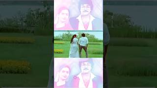 Telugu super hit melody chiranjeevi suhashini youtubeshorts telugushorts viralshorts music [upl. by Niwri838]