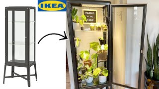 【DIY】IKEA コレクションケース ファブリコールを温室にする方法 IKEA Greenhouse cabinet Fabrikör【観葉植物】 [upl. by Einnad]