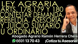 Ley Agraria Arts 178 179 y 180 contestar demanda rebeldía asesoría y juicio sumario u ordinario [upl. by Killion387]