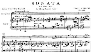 Franz Schubert  Sonata quotArpeggionequot in A minor for Double Bass and Piano [upl. by Ogaitnas617]