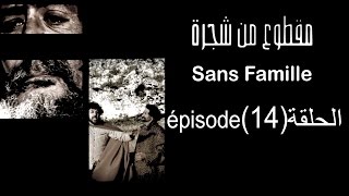 MA9TOU3 MEN CHAJARA SANS FAMILLE Épisode مقطوع من شجرة الحلقة 14 [upl. by Feola]