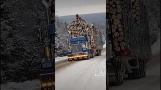 off road logging trucks in maine [upl. by Sammie64]