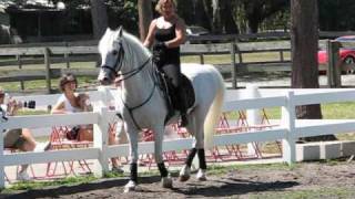 Lipizzan Training Session May 9 2009 [upl. by Oremor]