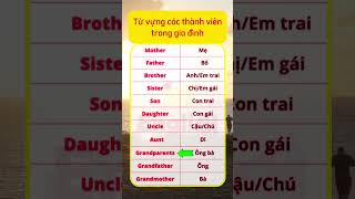 Từ vựng các thành viên trong gia đình shortsvideo english tienganh tbaenglish family [upl. by Francklin837]