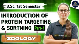 Introduction of Protein Targeting amp Sorting Part1  BSc 1st Semester Zoology  NEP 2020  Unit1 [upl. by Beutner]