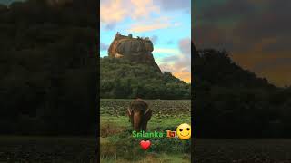 Sri lanka is the most beautiful country in the world🌍❤️ nature love alonealone sanduuvlog [upl. by Jule544]