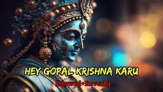 Hey Gopal Krishna Karu  है गोपाल कृष्णा करु  slowed  reverb   lofi song [upl. by Frentz]