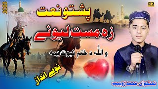 pashto new HD nazam by Hafiz Muhammad Zohaib naat [upl. by Gyasi]