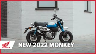 2022 Monkey  125cc Motorcycle  Honda [upl. by Nimesay]