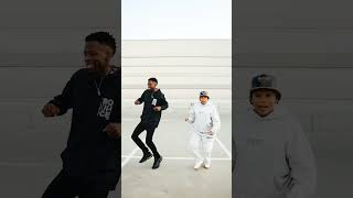 Manzi Nte Lit Dance Challenge Robot Boii amp Bontle Modiselle [upl. by Neelahtak]