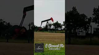 The Nodding Donkey Oil Pump  Pumpjack 7 with the Egret of Brunei 🛢⛽🥚 oilpump egret brunei [upl. by Kirschner]