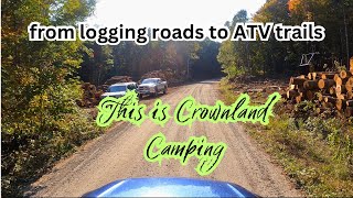 Exploring Remote Crown Land Camping  OffRoad Adventure with Thor [upl. by Amuh803]