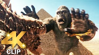 Godzilla Vs Kong  GODZILLA X KONG THE NEW EMPIRE 2024 Movie CLIP 4K [upl. by Va]