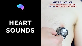 Heart murmurs for beginners 🔥 🔥 🔥 Part 1Aortic amp Mitral stenosis Aortic amp mitral regurgitation [upl. by Airdnaxila]