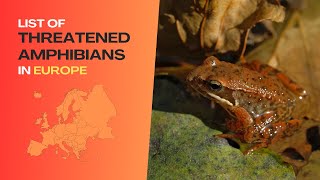 List of Threatened Amphibians in Europe  Included in The IUCN Red List [upl. by Tootsie363]