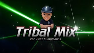 Tribal Mix 2024 Version Feliz Cumpleanos   Dj Echo [upl. by Filippa252]