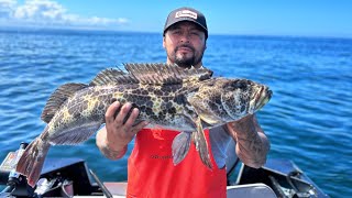 Rockfish Season Starting Off With A Bang [upl. by Dannon]