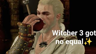 Witcher 3 Without Context Best Game Ever [upl. by Sulakcin760]