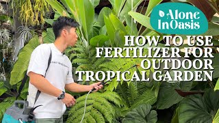 How to Fertilize for Outdoor Tropical Garden  The Benefits of using organic fertilizer amp Pesticide [upl. by Nava485]