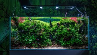 360l Nature Aquarium Scaped By Pavol Kulanda [upl. by Zampino]