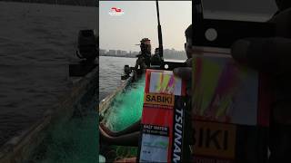 Ultimate Sabiki fishing Sabikifishingfishingtips [upl. by Llimaj738]