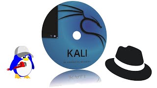 Kali Linux Installer [upl. by Aisatsan]