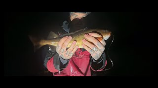 North East Cod Fishing  Fish From The Off  Episode 3 [upl. by Moulden]