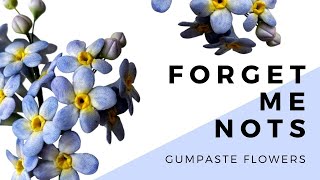 Gumpaste Flowers for Beginners  Forget Me Not Sugar Flower  Finespun Cakes [upl. by Nalyac]