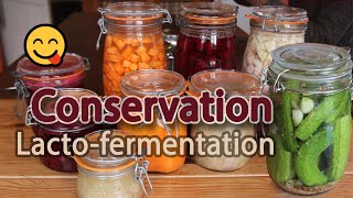 La lactofermentation une méthode de conservation sans danger et peu énergivore [upl. by Enaoj]