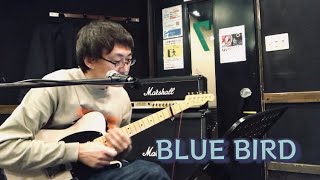 浜崎あゆみ BLUE BIRD ギター弾き語りカバー [upl. by Courcy799]