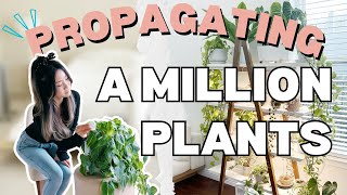 I Propagated a Million Plants at Midnight  Q amp A  Plant Chores  Houseplant Care Routine Tips [upl. by Eednahs]