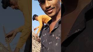 Thakor Mahesh Vlogs gjvlogs007 [upl. by Murrah306]