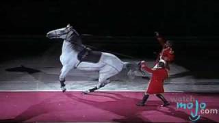 The World Famous Lipizzaner Stallions [upl. by Revolc]