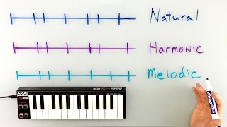 Minor Scales  Natural Harmonic and Melodic [upl. by Nitniuq714]