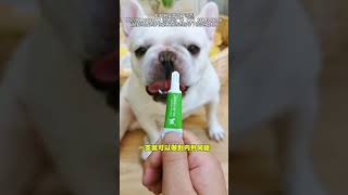 Deworming cats and dogs is so simple The upgraded version can deworm both inside and outside in [upl. by Nnylrefinnej]