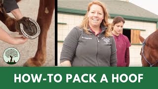 How to Pack a Hoof  from a HorseDoctor [upl. by Inaej]