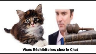 Les vices redhibitoires chez le chat [upl. by Lupita]