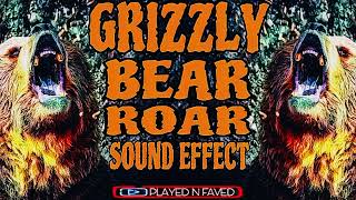 Grizzly Bear Roar Sound Effect [upl. by Richella995]