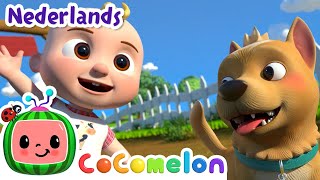 Bingo boerderij 🐕  CoComelon Nederlands  Kinderliedjes [upl. by Fayina]