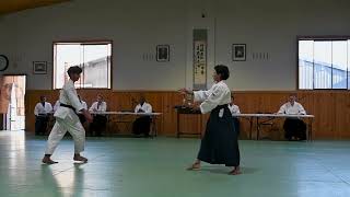 Alia Nicholls Sensei  44th Anniversary Demonstration [upl. by Sallie291]